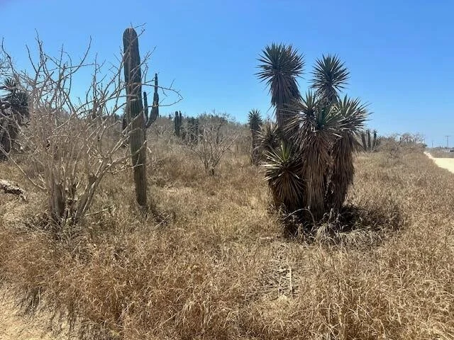 View from Street Level at Lote 1475 in Cerritos