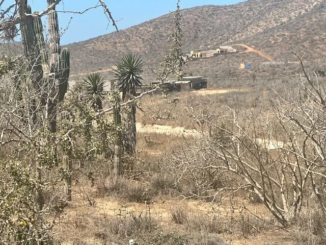 Mountain view from Cerritos Lot 1475