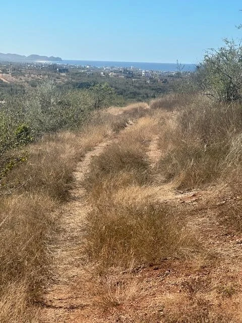 View over Cerritos at Lote 801 in Cerritos