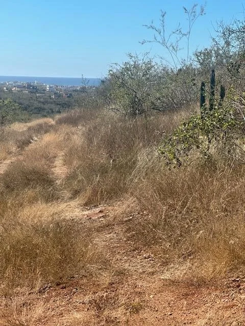View over Cerritos at Lote 801 in Cerritos