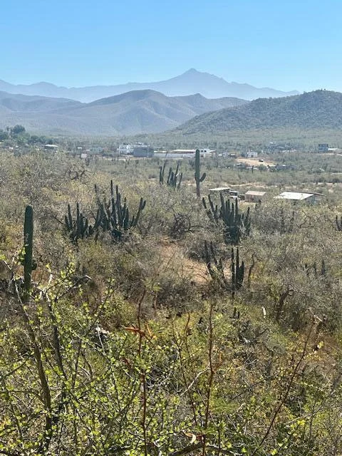 View to East at Lote 801 in Cerritos
