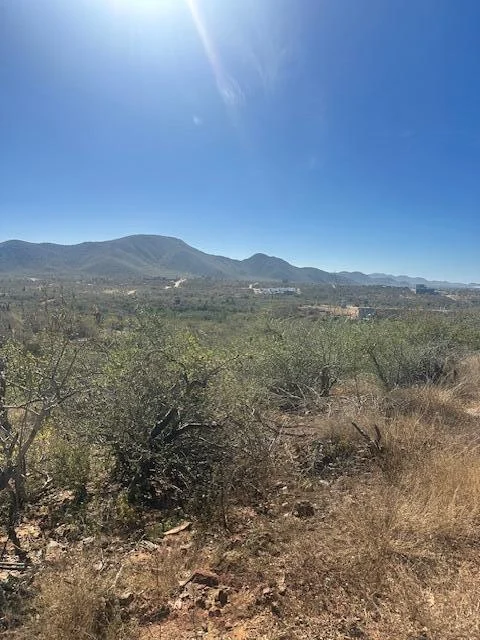 View to South at Lote 801 in Cerritos