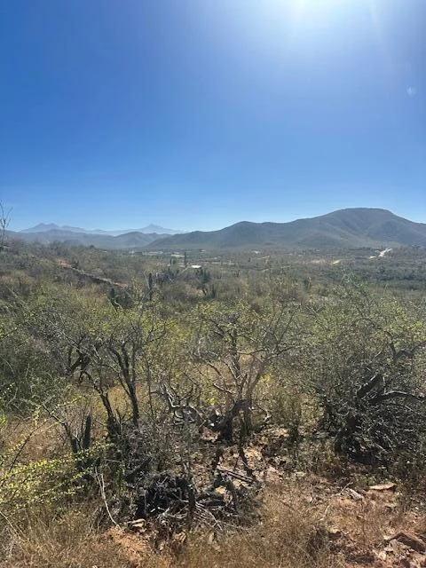 View to Southeast at Lote 801 in Cerritos
