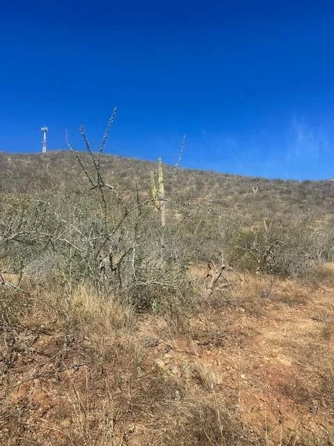 View to North at Lote 801 in Cerritos