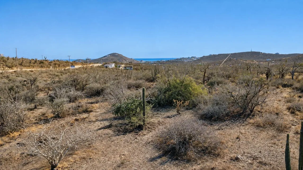 Ocean Views at Cerritos Easy Access Lot in Cerritos