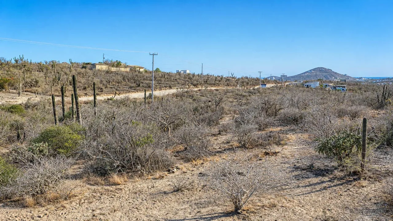 Flat lot = easy build at Cerritos Easy Access Lot in Cerritos