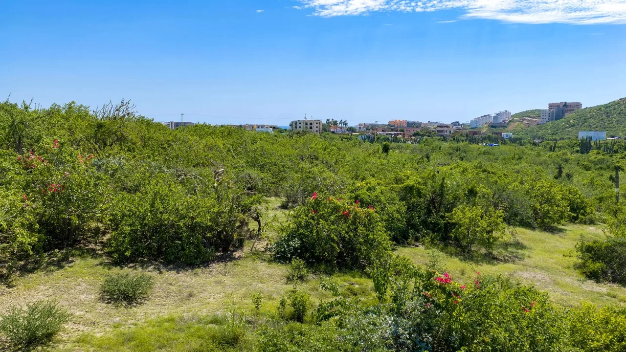 Lote 1453, photo 1