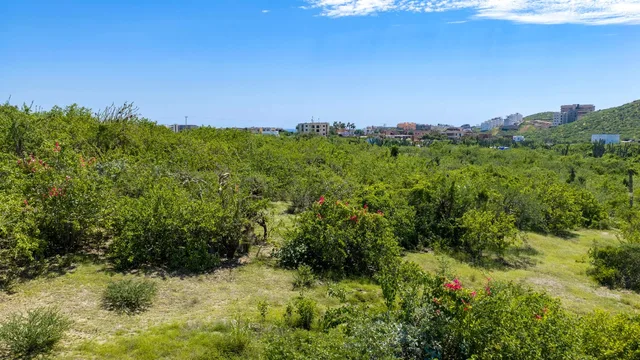 Lote 1453, photo 1
