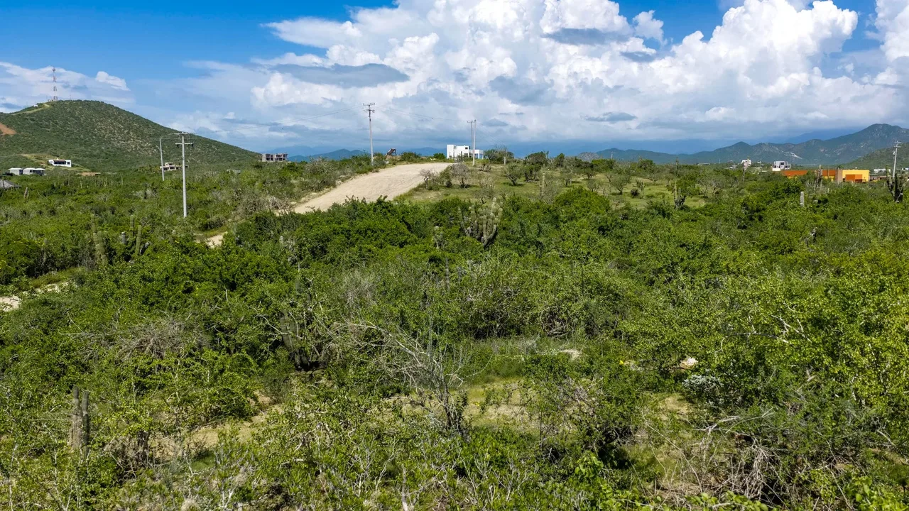 Lote 1453, photo 2