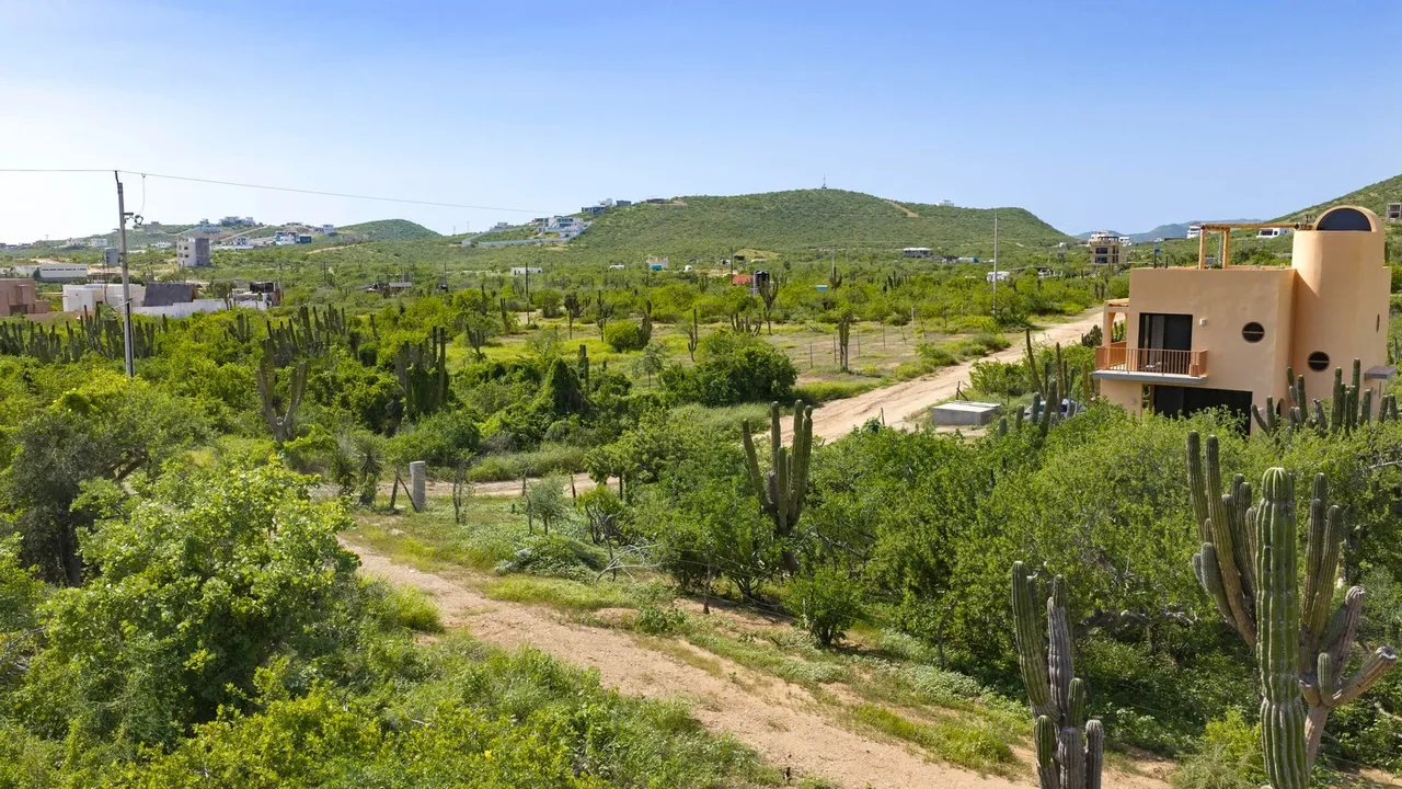 Lote 1603, photo 1