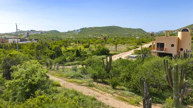 Lote 1603, photo 1