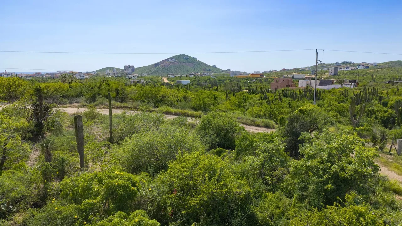 Lote 1603, photo 5