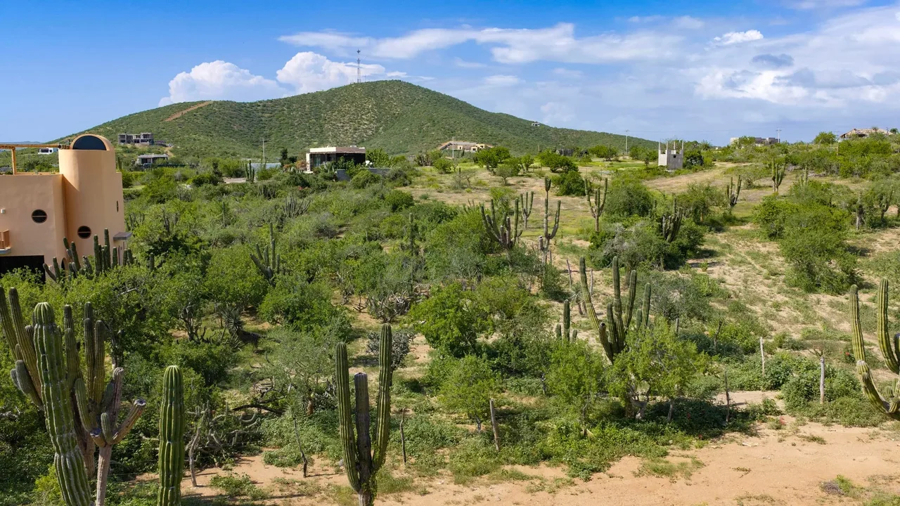 Lote 1603, photo 6