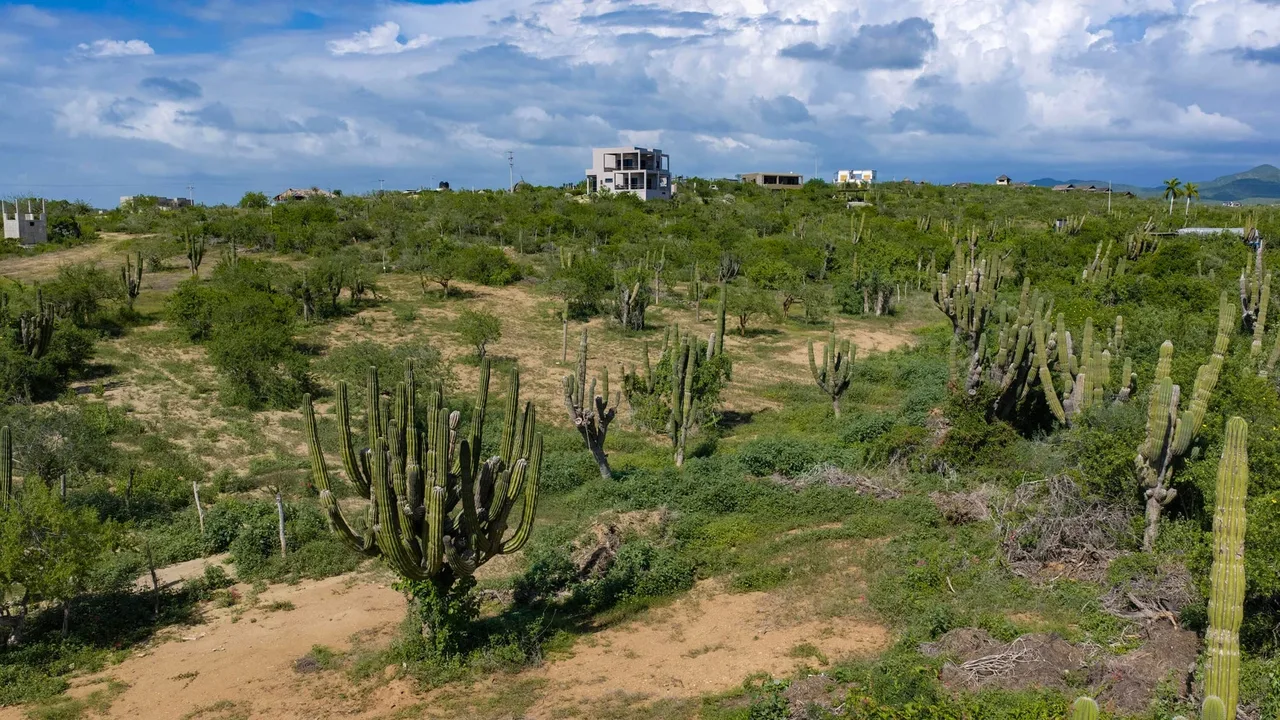Lote 1603, photo 7