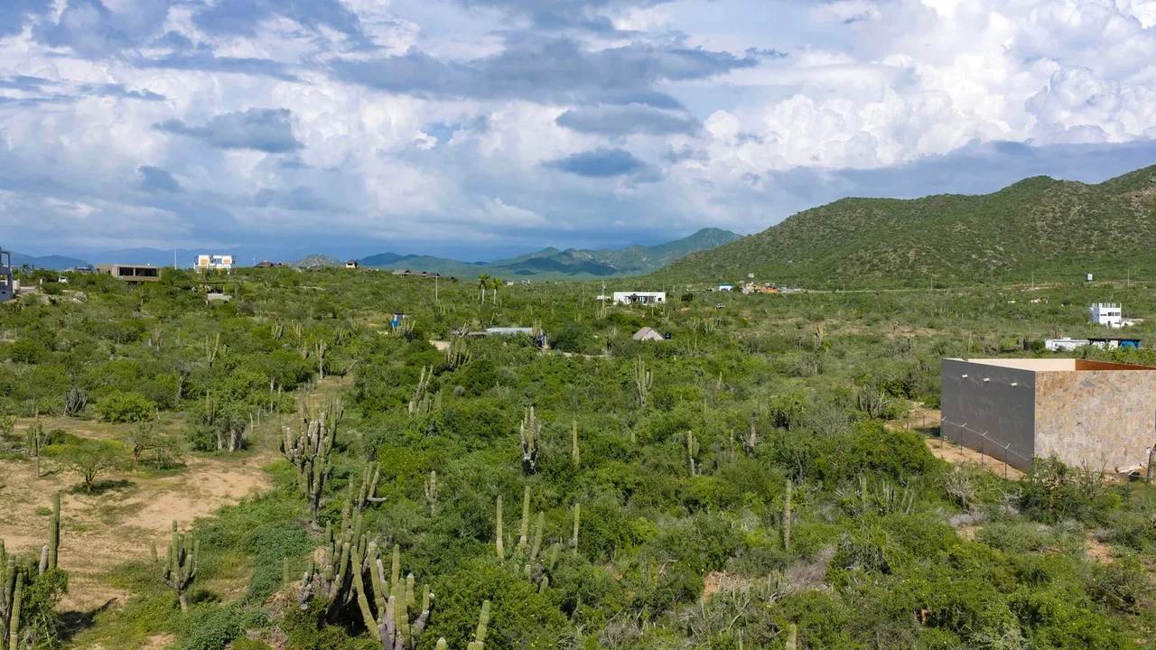 Lote 1603, photo 10