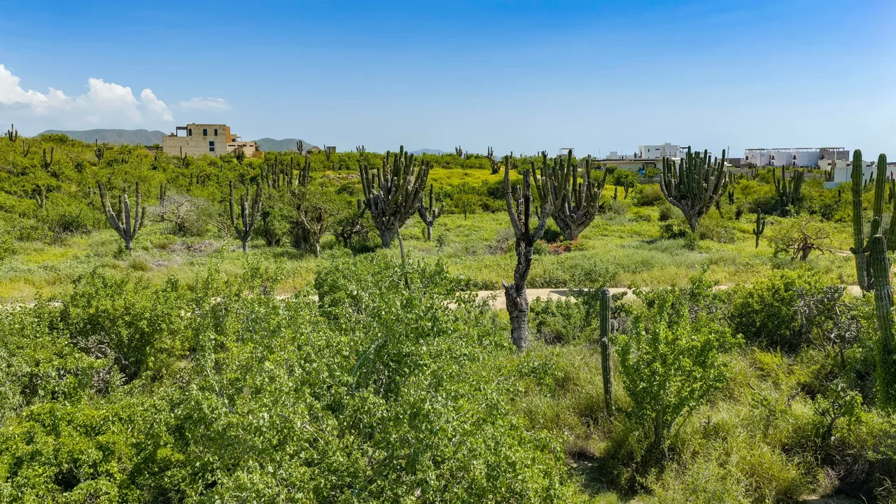 Lot 1834, photo 3