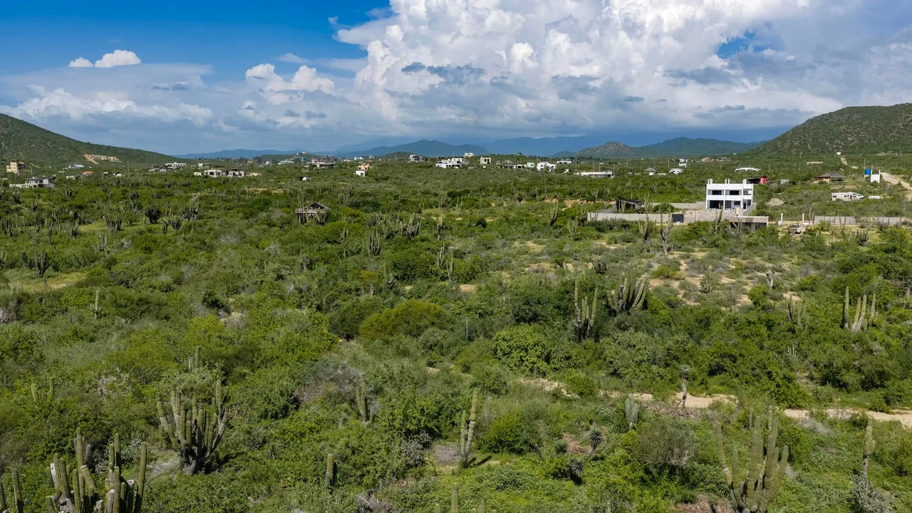 View to West at Lot 1834 in Cerritos
