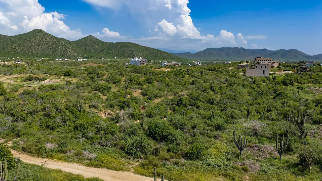 Lot 1834, photo 8