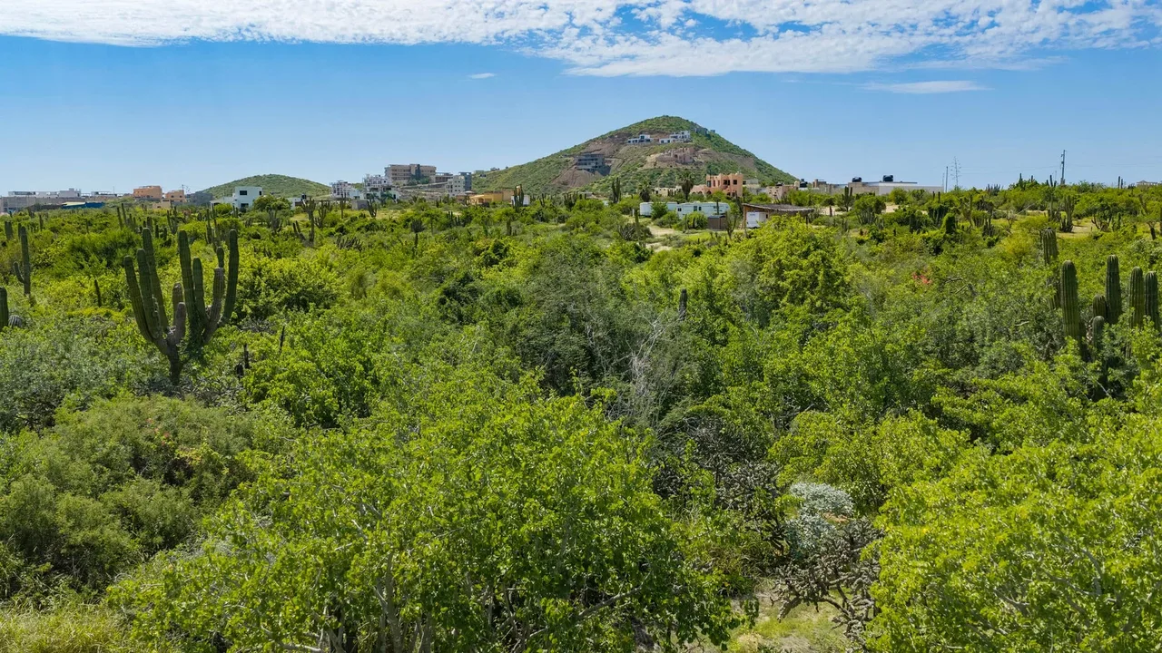 View to West at Lot 1834 in Cerritos