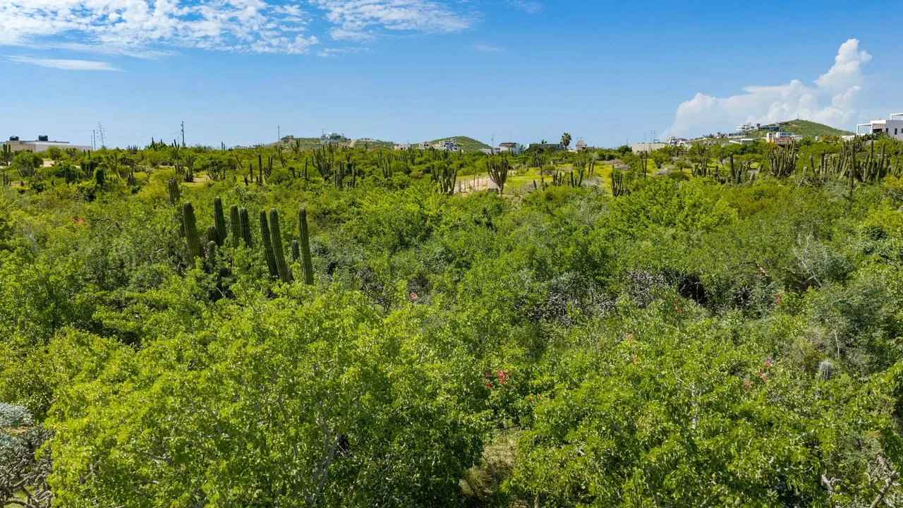 Lot 1834, photo 10