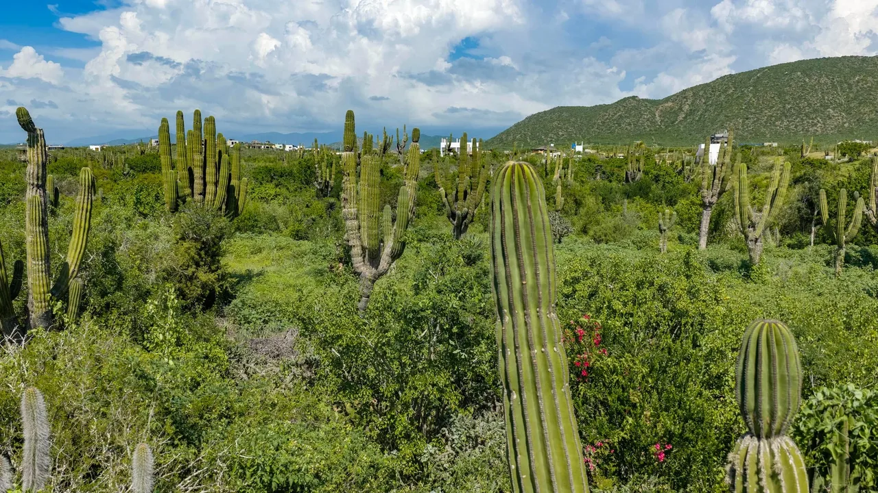 Lot 1834, photo 11